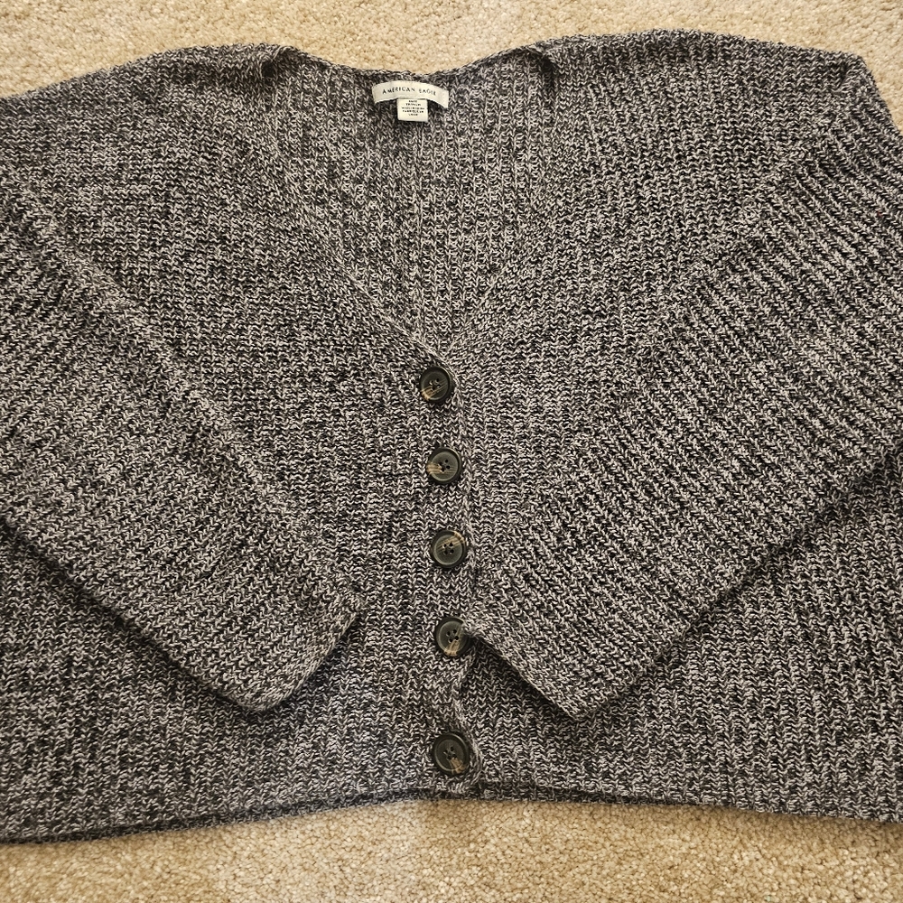 American Eagle Cropped Sweater